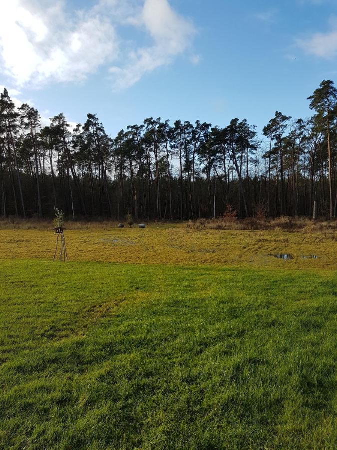 Sonnenstrahl Im Kuestenwald Gelbensande Exterior foto