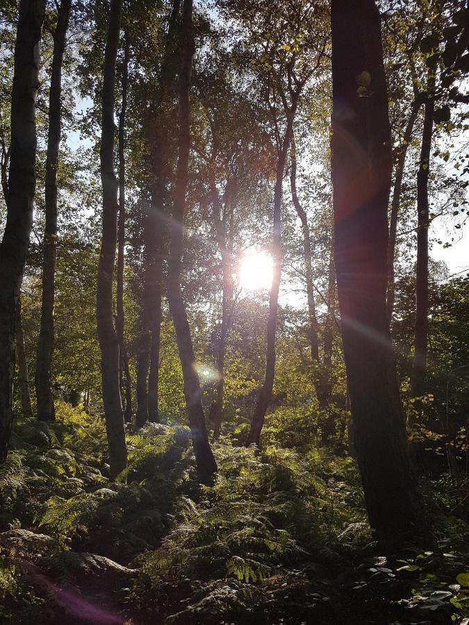 Sonnenstrahl Im Kuestenwald Gelbensande Exterior foto