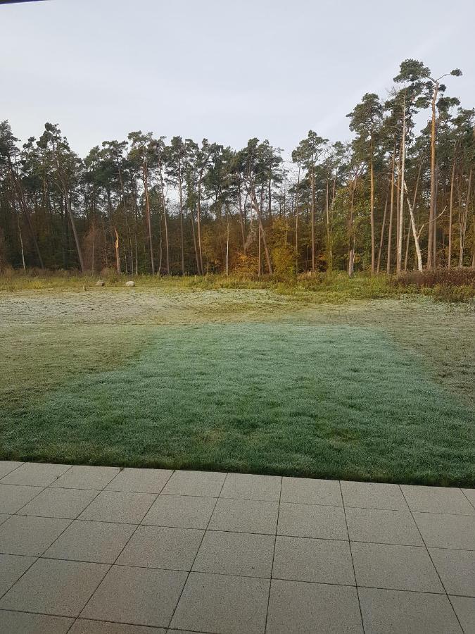Sonnenstrahl Im Kuestenwald Gelbensande Exterior foto